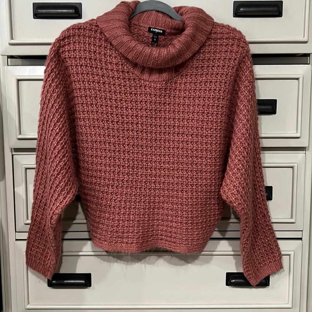 NEVER WORN Express Cropped Turtleneck Sweater